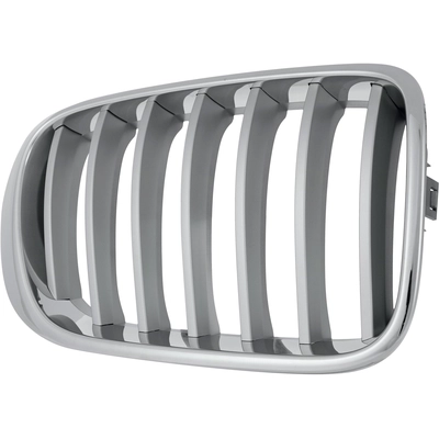 Grille Assembly - BM1200279C pa2