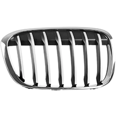 Grille Assembly - BM1200291 pa1