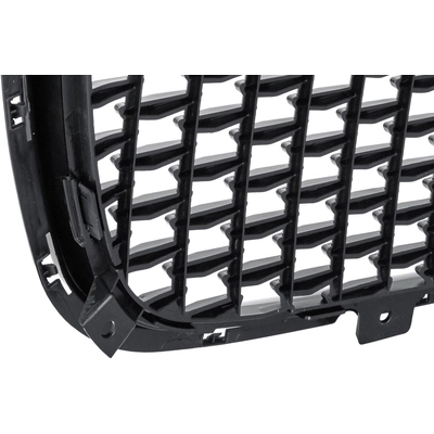 Grille Assembly - CH1200393C pa3