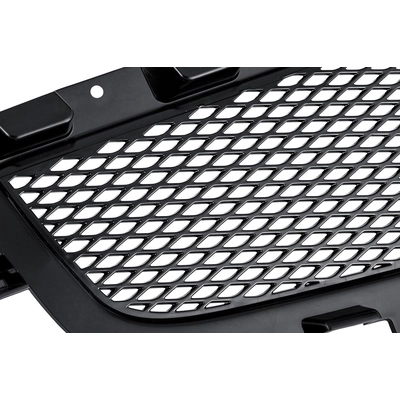 Grille Assembly - GM1200600PP pa3