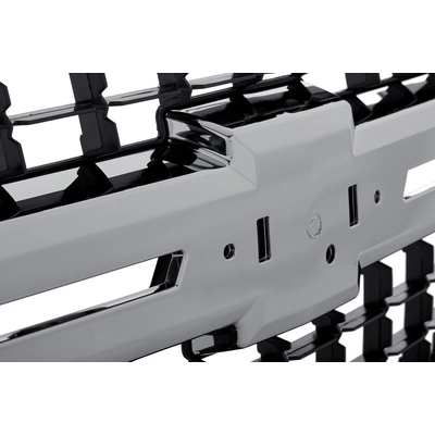 Grille Assembly - GM1200608C pa2