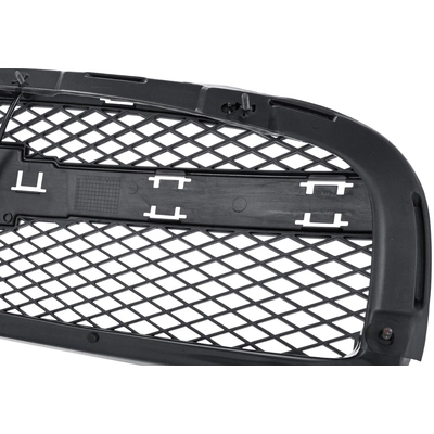 Grille Assembly - GM1200625 pa3