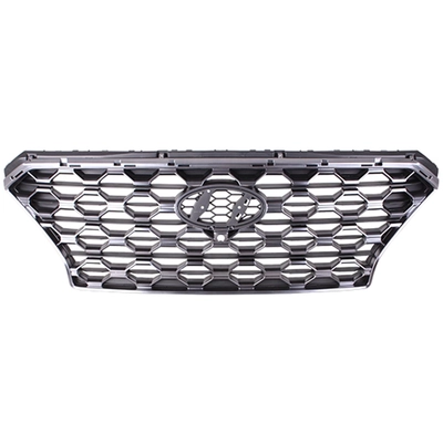 Grille Assembly - HY1200221 pa1