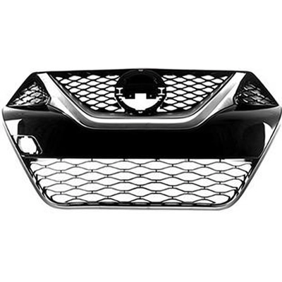 Grille Assembly - NI1200284OE pa2