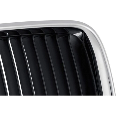 Grille Assembly - BM1200114 pa2