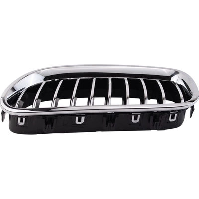 Grille Assembly - BM1200246 pa3