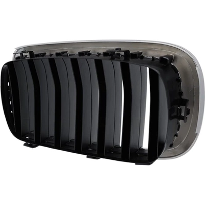 Grille Assembly - BM1200267 pa2