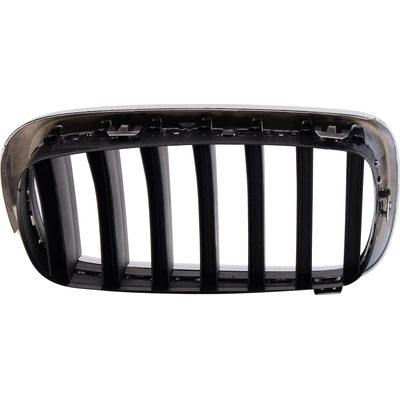 Grille Assembly - BM1200270 pa2