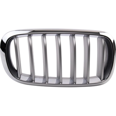 Grille Assembly - BM1200271 pa1