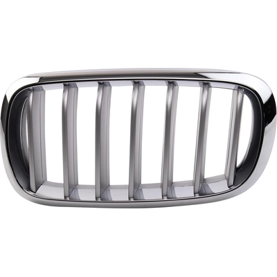 Grille Assembly - BM1200271 pa2