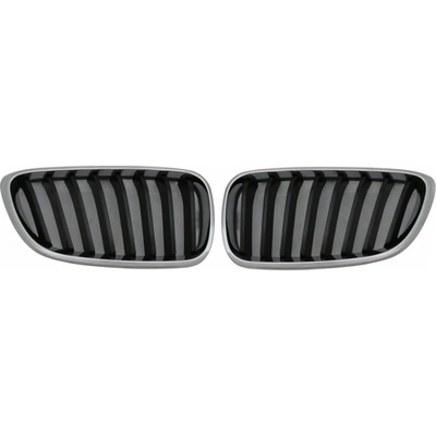 Grille Assembly - BM1200273 pa1