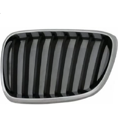 Grille Assembly - BM1200273 pa2