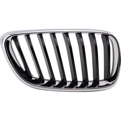 Grille Assembly - BM1200273 pa7