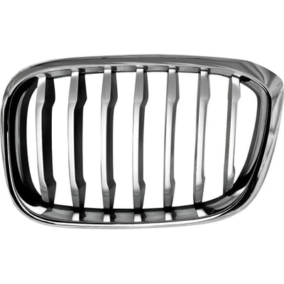 Grille Assembly - BM1200306 pa1