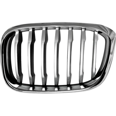 Grille Assembly - BM1200306C pa1