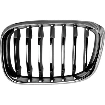 Grille Assembly - BM1200308 pa1
