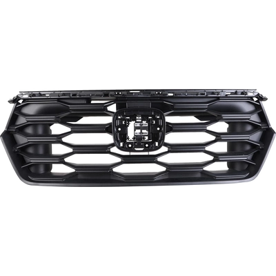 Grille Assembly - HO1200270 pa1