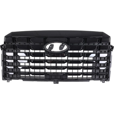 Grille Assembly - HY1200293 pa1