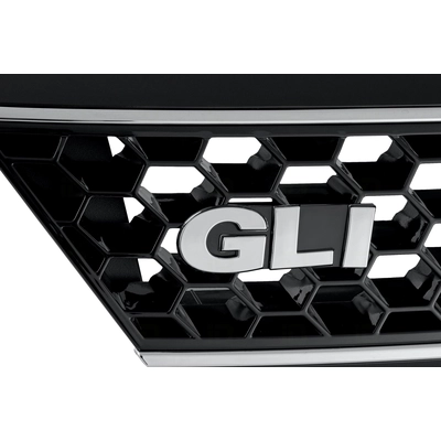 Grille Assembly - VW1200157 pa2
