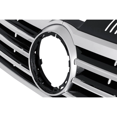 Grille Assembly - VW1200161 pa3