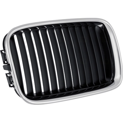 Grille Chrome - BM1200114 pa4