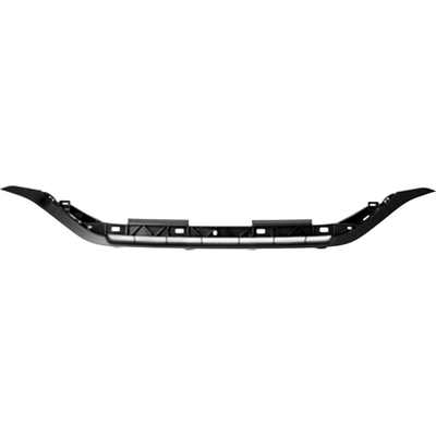 VARIOUS MANUFACTURERS - HO1210140 - Grille Molding pa7