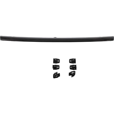 Grille Molding - HO1210184 pa2