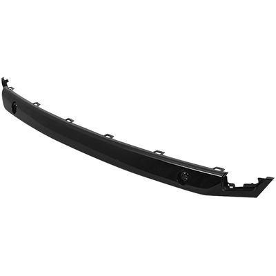 Grille Molding - LX1210112 pa1