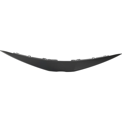 Grille Molding - TO1210119 pa2