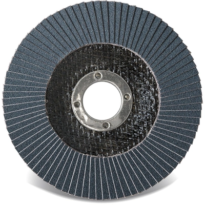 CGW - 41725 - Flap Disc pa2