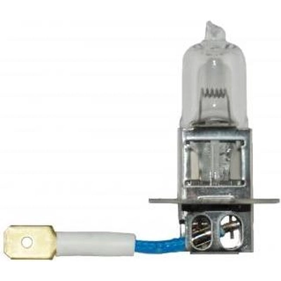 HELLA - H3 24V DP - Halogen Bulb pa3