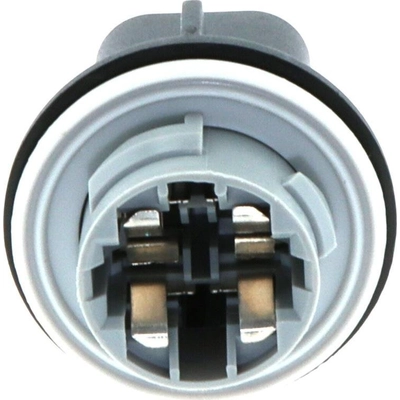 Headlamp Connector by BLUE STREAK (HYGRADE MOTOR) - S1800 pa6