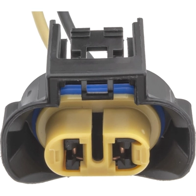 Headlamp Connector by BLUE STREAK (HYGRADE MOTOR) - S2639 pa1