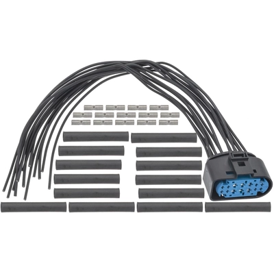 BLUE STREAK (HYGRADE MOTOR) - S3005 - Headlight Wiring Harness Connector pa1