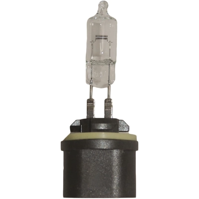 HELLA - 887 - Headlight Bulb pa1