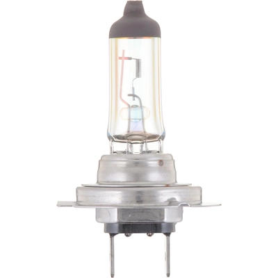 PHILIPS - H7MVB1 - Headlight Bulbs pa1