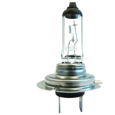 CEC Industries - H7-55W-LL - High Beam Headlight pa1
