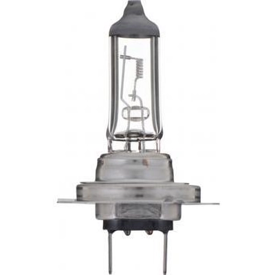 High Beam Headlight by PHILIPS - H7C1-24V pa17