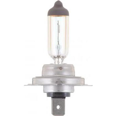 High Beam Headlight by PHILIPS - H7MVB1 pa26