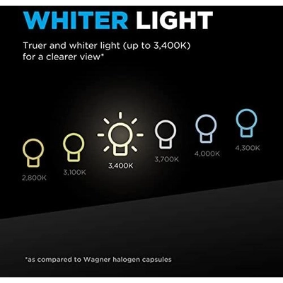 High Beam Headlight by WAGNER - BPH11BLX2 pa16