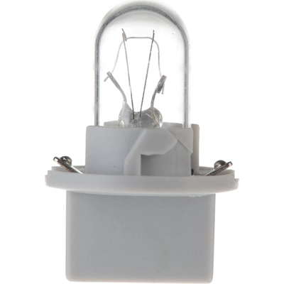 High Beam Indicator by PHILIPS - PC194B2 pa37