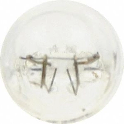 High Beam Indicator by SYLVANIA - 161LL.BP2 pa105