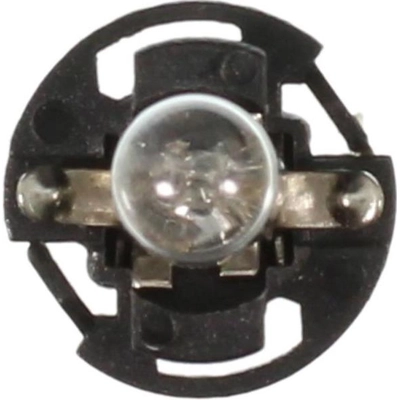 High Beam Indicator (Pack of 10) by WAGNER - PC37 pa6