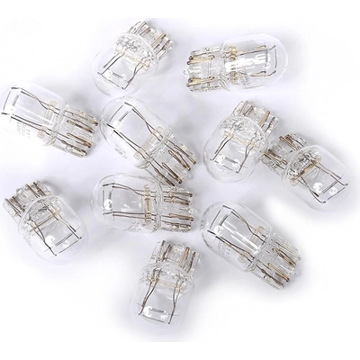 ACDELCO - 13503361 - Halogen Bulb pa2