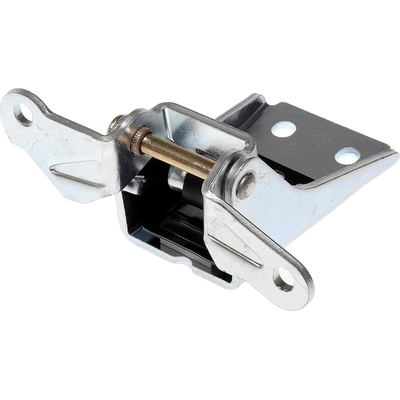 Hinge Assembly by DORMAN (OE SOLUTIONS) - 925-066 pa6