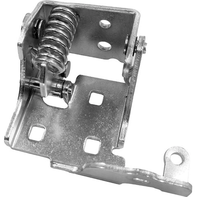 SKP - SK961027 - Front Passenger Side Lower Door Hinge pa4