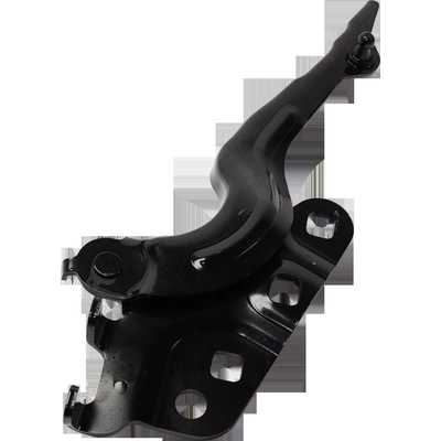 Hood Hinge Assembly - GM1236223 pa6
