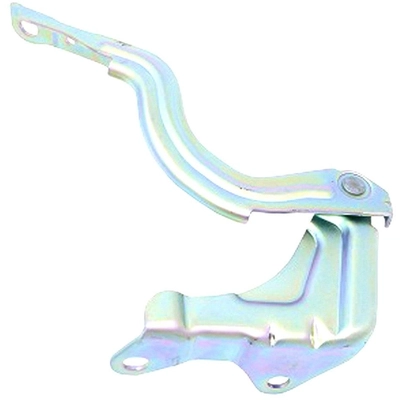 Hood Hinge Assembly - HY1236142 pa1