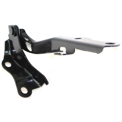 Hood Hinge Assembly - LX1236103 pa4