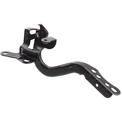Hood Hinge Assembly by SHERMAN PARTS - 8202-42-2 pa2